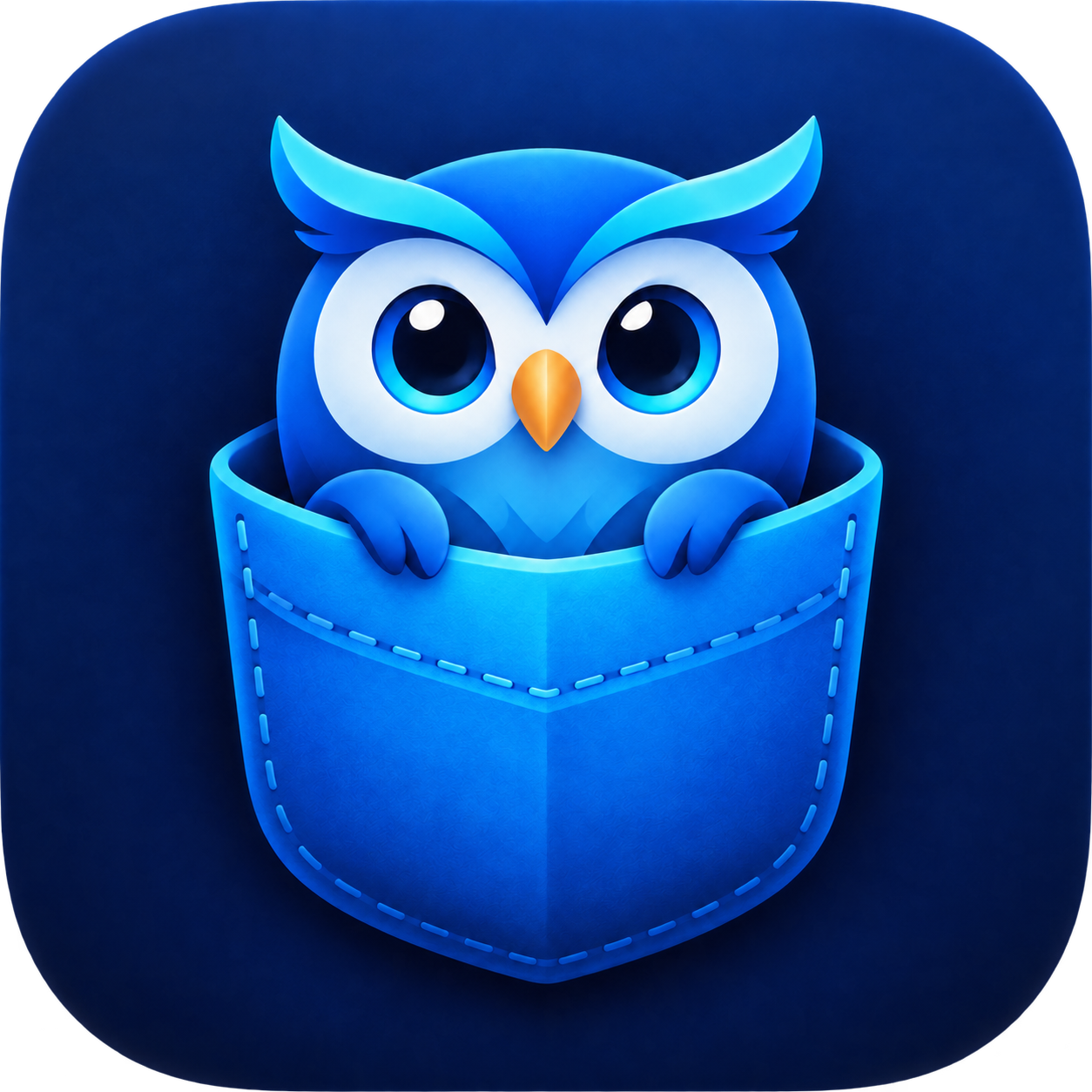 PocketOwl app icon.